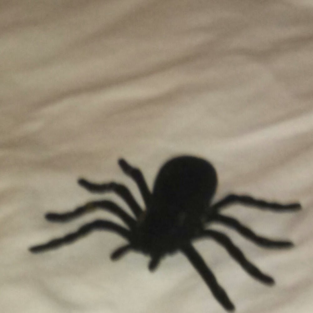 Meet your Posher, Michelle